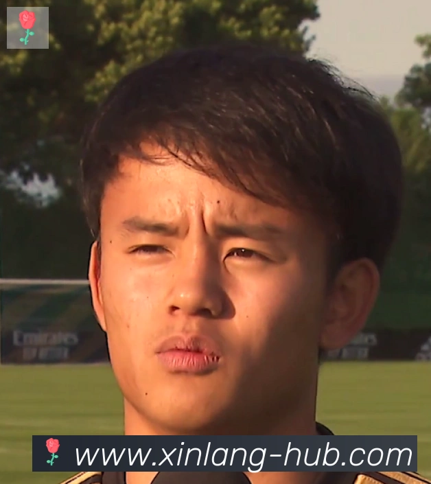 维尼修斯
